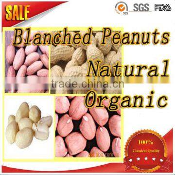 High Demand Export Products Organic Chinese Groundnut Blanched Peanuts