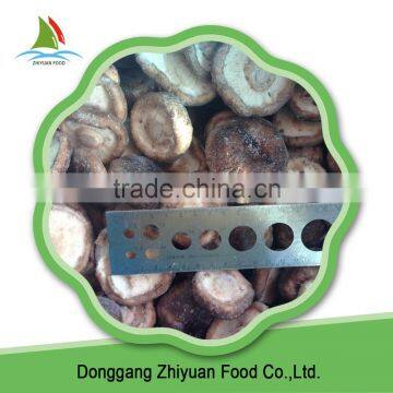Frozen Shiitake Mushroom IQF Shiitake Mushrooms photo-5