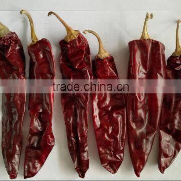 Dry red sweet paprika pods for USA Market