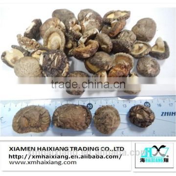 Dried shiitake mushroom extract prices