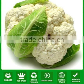 NCF13 Sougu chinese vegetable seeds 70 days high yield cauliflower seeds for growing