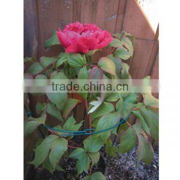 Grow Grid Link Cradle Wire Climbing Decorative Flower Support photo-4