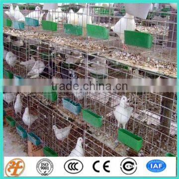 galvanized wire mesh panels 3iers 12 doors houses for Doves