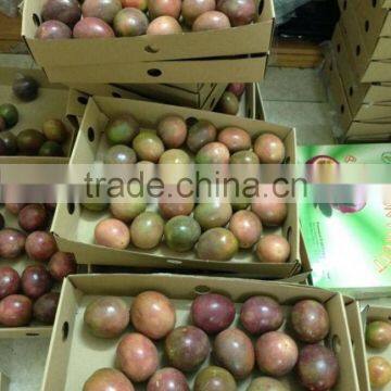 Fresh passion fruit new crop 2016 from kego vietnam