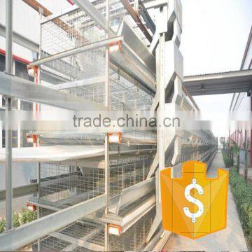 H Type Layer Chicken Cage for Poultry Farm photo-4