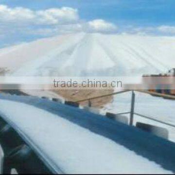 Cold Resistant Rubber Conveyor Belt for Low Temperature Transportations photo-2