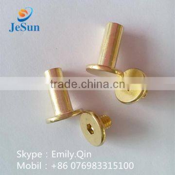 China Supplier Brass Chicago Screws