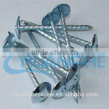 barbed roofing nail made in china