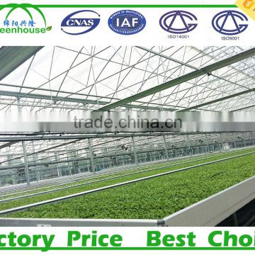 Commercial Metalic Greenhouse