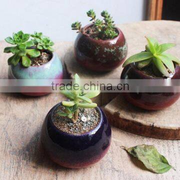 New Christmas Indoor Decor Glazed Small Succulent Pot