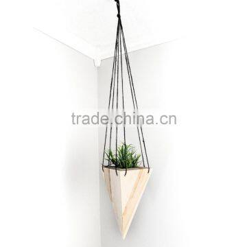 Triangle Air-Plant Planter box for living room