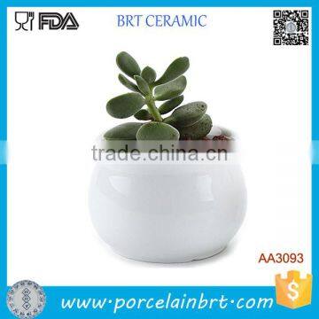 Round Mini Indoor Planter Ceramic Succulent Pots