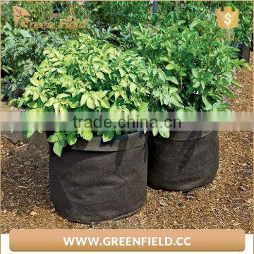 Available Non woven hanging planter grow bag China supplier