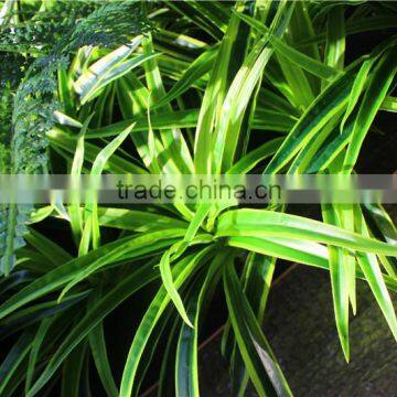 Home and Outdoor Decoration Synthetic Cheap Artificial Vertical Green Grass Wall E10 21X10 photo-3