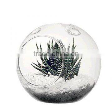 Acrylic Globe Terrarium photo-2
