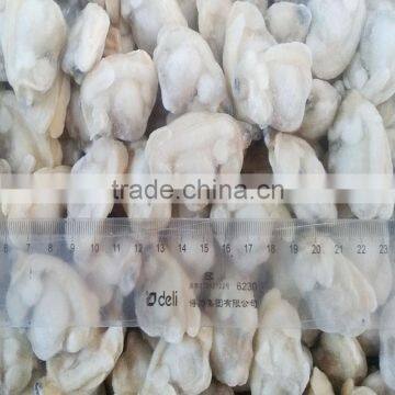 Vacuum Packed Baby Clam Size 51-60 photo-2