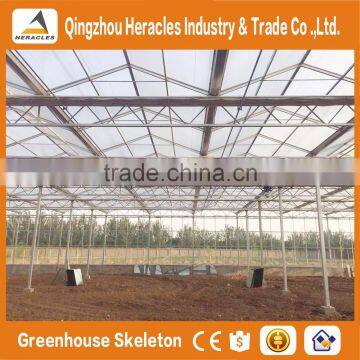 Heracles Trade Assurance Saw-Tooth Tropical Greenhouse photo-4