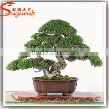 ANTIQUE ARTIFICIAL POTTED TREE CHINESE BONSAI PINE TREE LOOKS REAL