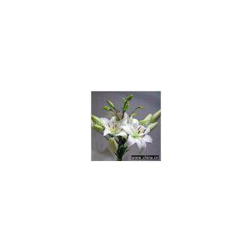 artificial asiatic lily/artificial flower/factory export directly