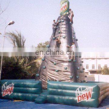 Rock Climbing Inflatable