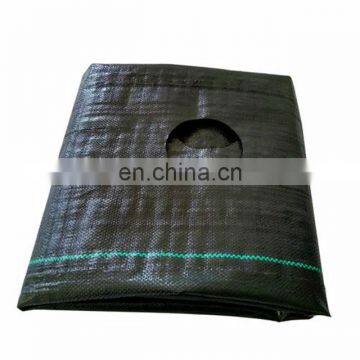 Anti uv Plastic Agricultural Woven pp Weed Control Mat photo-3