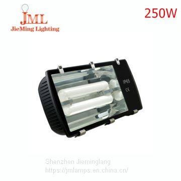 Индукционный прожектор JML-FL501