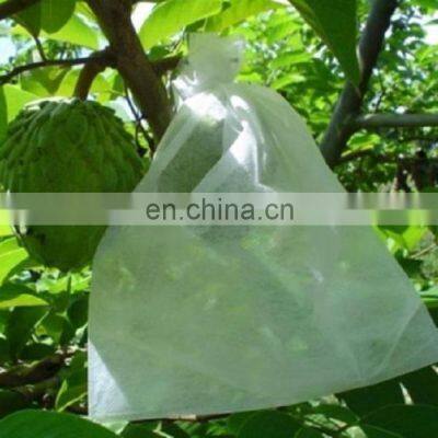 Low Cost Agricultural Greenhouse Anti Insect Proof Plastic Net Low Price photo-3