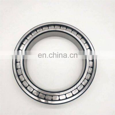 Full Complement Cylindrical Roller Bearing SL18 3005 SL183005