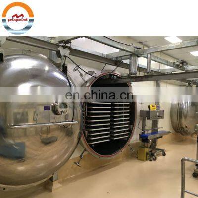 Professional stainless steel multipurpose vacuum freeze dryer china manufacturer cheap price for sale