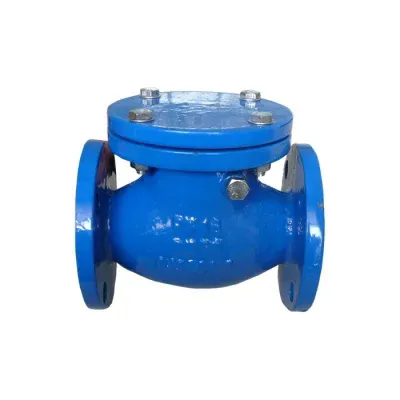 High Performance Resilient Seat Swing Check Valve Manufacturer