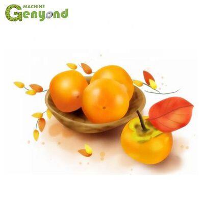 Máquina para descascar caqui de 500Kg, Máquina de descascar, Descascador, Máquina industrial