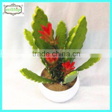 25cm high quality real touch cactus and succulent