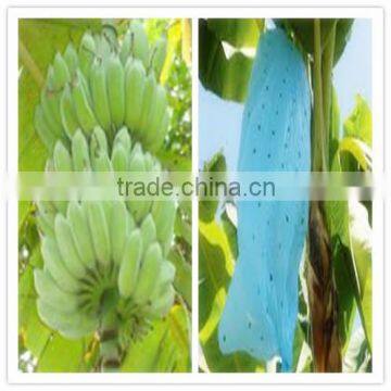 Insecticides plastic banana grow bag manufacturer 20micron