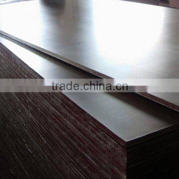 Film Faced Plywood/ Marine Plywood/ Construction Plywood