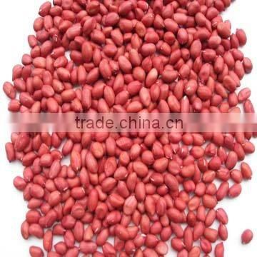 Red Skin Peanut Kernels 50/60