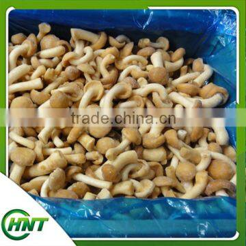 High Quality Top Quality Frozen Fresh Nameko photo-5