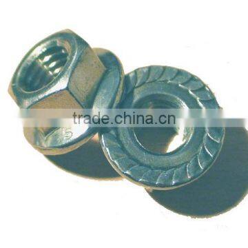 hex serrated flange nut