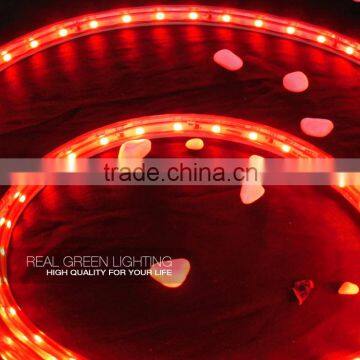 220 Volt 3528 SMD IP 65 Red LED Strip Lighting photo-2