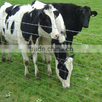 hot dip galvanized farm fence / filed fence