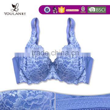 New Design Blue Sexy Beautiful Ladies Thong Bra