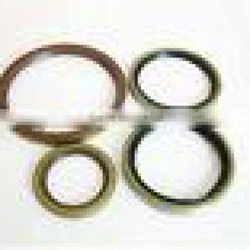 FPM oil seal,