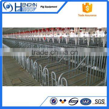 Pig Raising Equipment and Its Price in photo-4