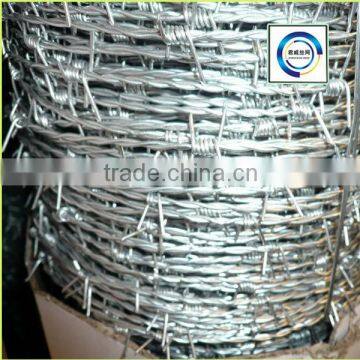 Stainless steel hot dipped galvanized razor barbed wire factory)