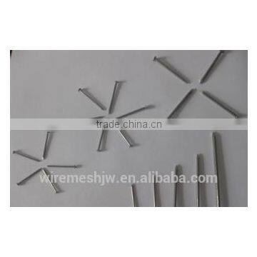 Umbrella Head Plain Shank Roofing Nails/Common Iron Wire Nail