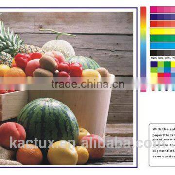 pp synthetic paper for commerical print