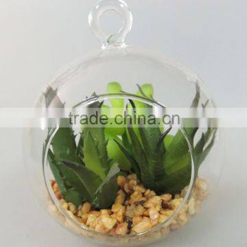 Made in China Fast Delivery Hanging Glass Ball Succulent