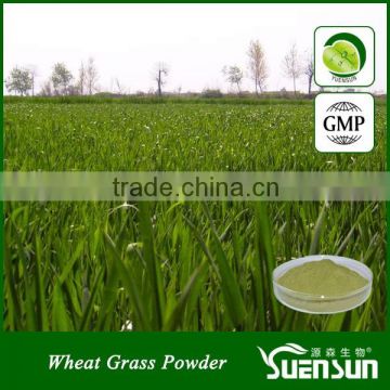 Hot selling certified organic wheatgrass powder organic wheat grass powder