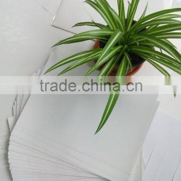 Hot sell wood free sticker paper