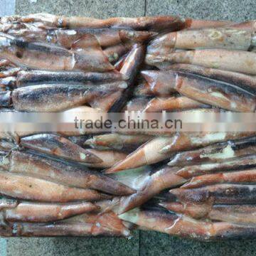 frozen argentina illex squid whole round squid