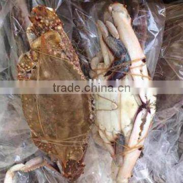 frozen whole blue swimming crab for sale